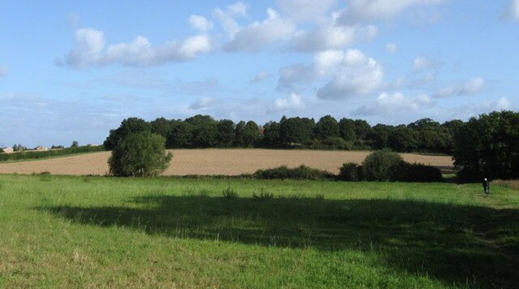 Knaves Acre The name of the field according to the 1843 tithe map and formerly part of Frankbarrow, a medieval deer park that was disparked and enclosed in the 16th century. The triangular field bounded on its northern edge by a stream now lies next to the eastern edge of Burgess Hill. A footpath heads off to the Janes Lane on the right being illegally ridden on by a pensioner on a bicycle.