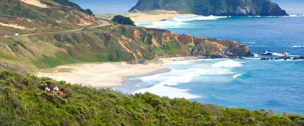 ํฌ์ธํธ ์๋ฅด ๋ฑ๋ ์ ํน์ง ํด๋ณ, ํ๊ฒฝ ๊ณผ ์ผ๋ฐ ํด์ ์ ๊ฒฝ