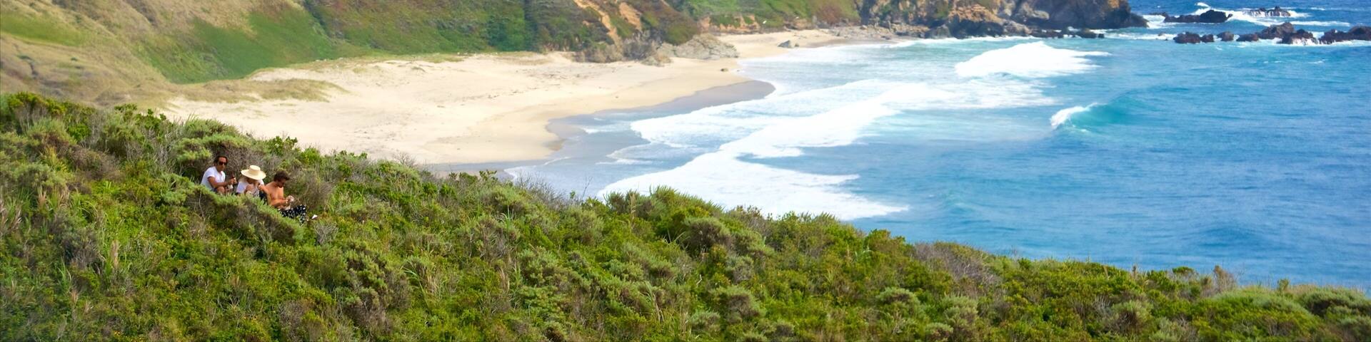 Point Sur Lighthouse showing mountains, landscape views and general coastal views