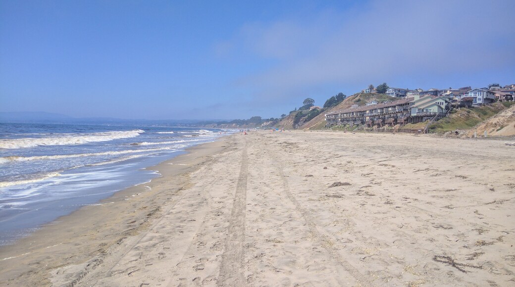 Manresa State Beach