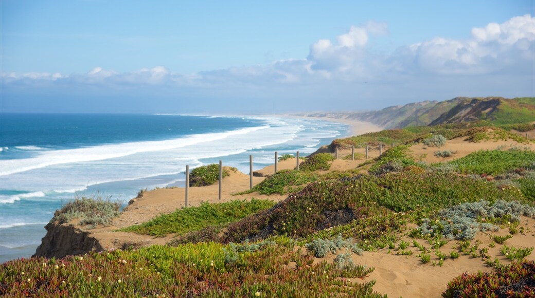 Fort Ord Dunes statspark som inkluderar en hamn eller havsbukt, en strand och landskap
