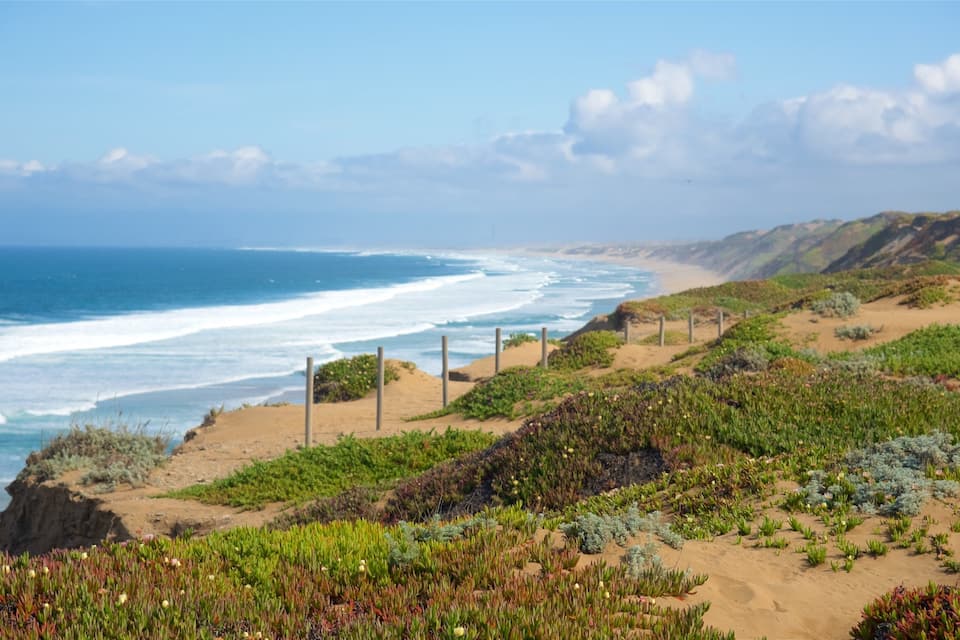 A coastal landscape with a sandy beach, green vegetation, and a clear view of the ocean.