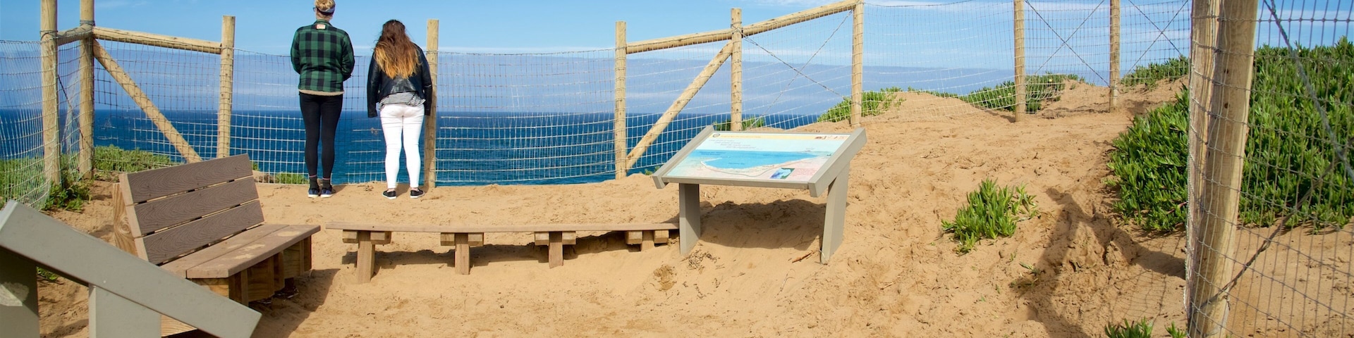 Fort Ord Dunes State Park which includes views and a sandy beach