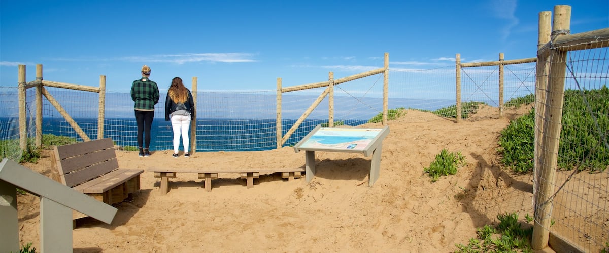 A sandy beach with wooden benches and a wooden fence.