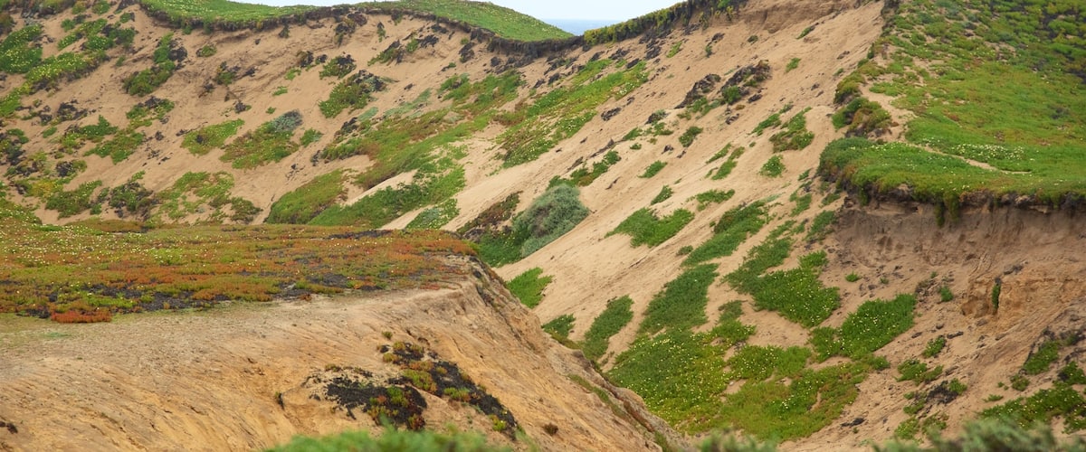 Fort Ord Dunes State Park bevat vredige uitzichten
