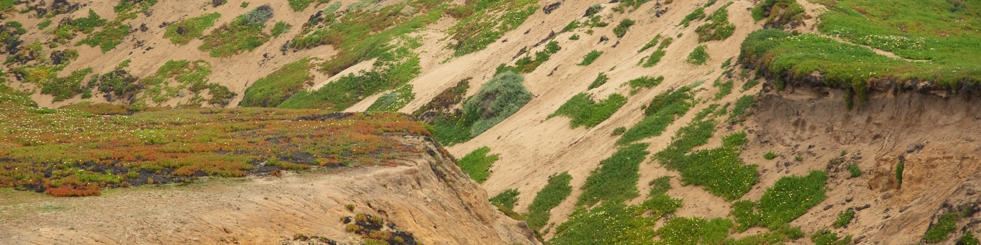 Fort Ord Dunes State Park which includes tranquil scenes