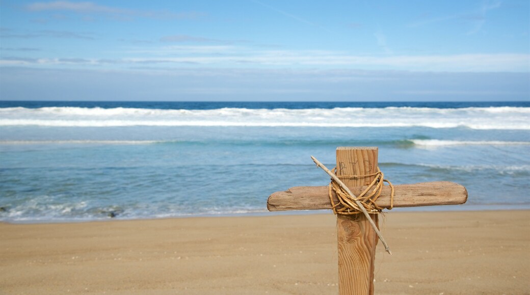Fort Ord Dunes State Park caracterizando paisagens litorâneas