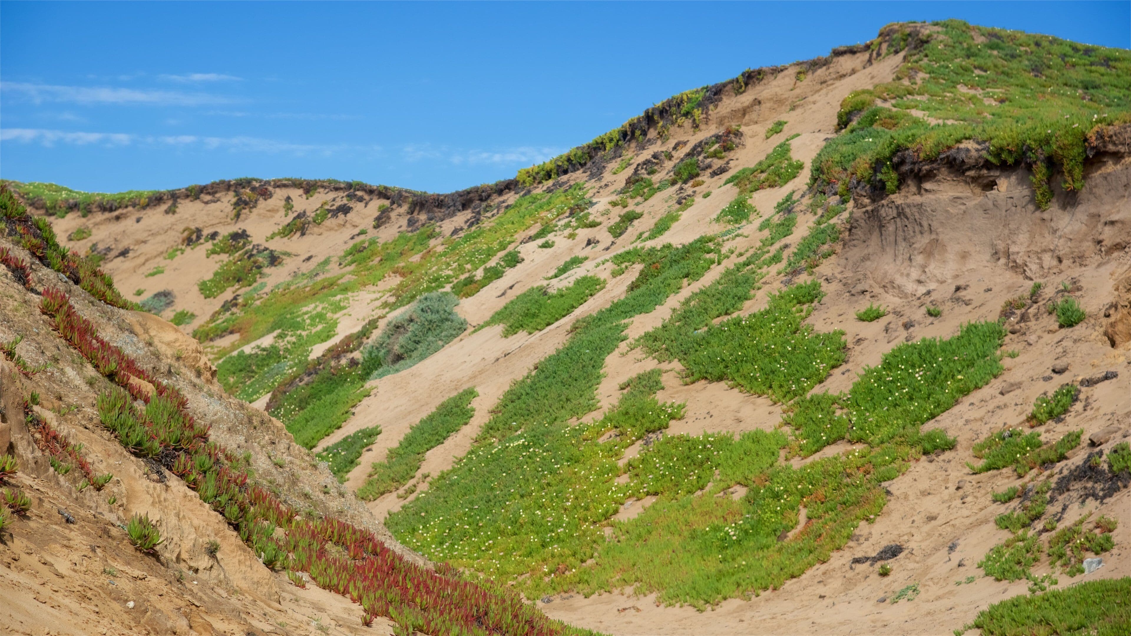 Fort Ord Dunes 州立公園 设有 海灘