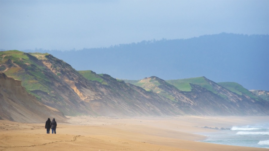 Fort Ord Dunes State Park