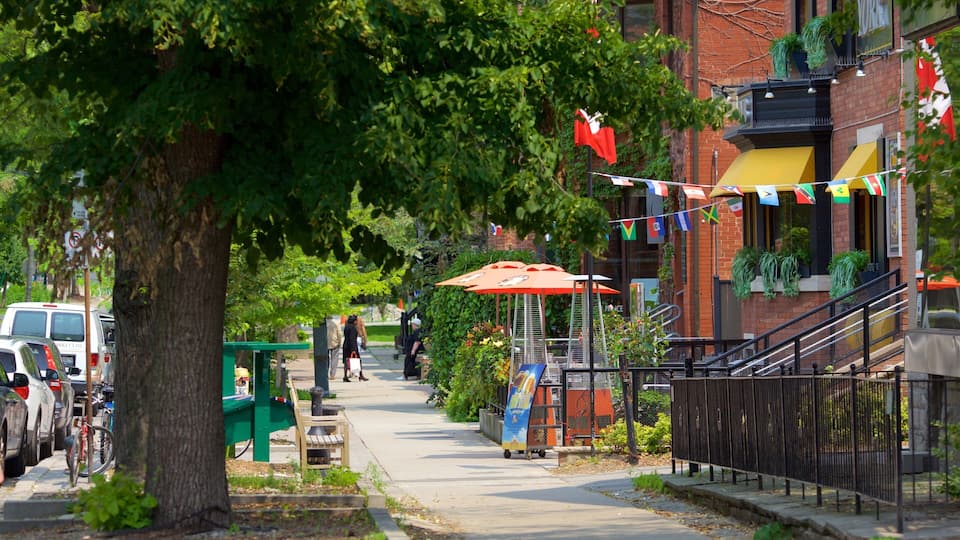Yorkville showing street scenes