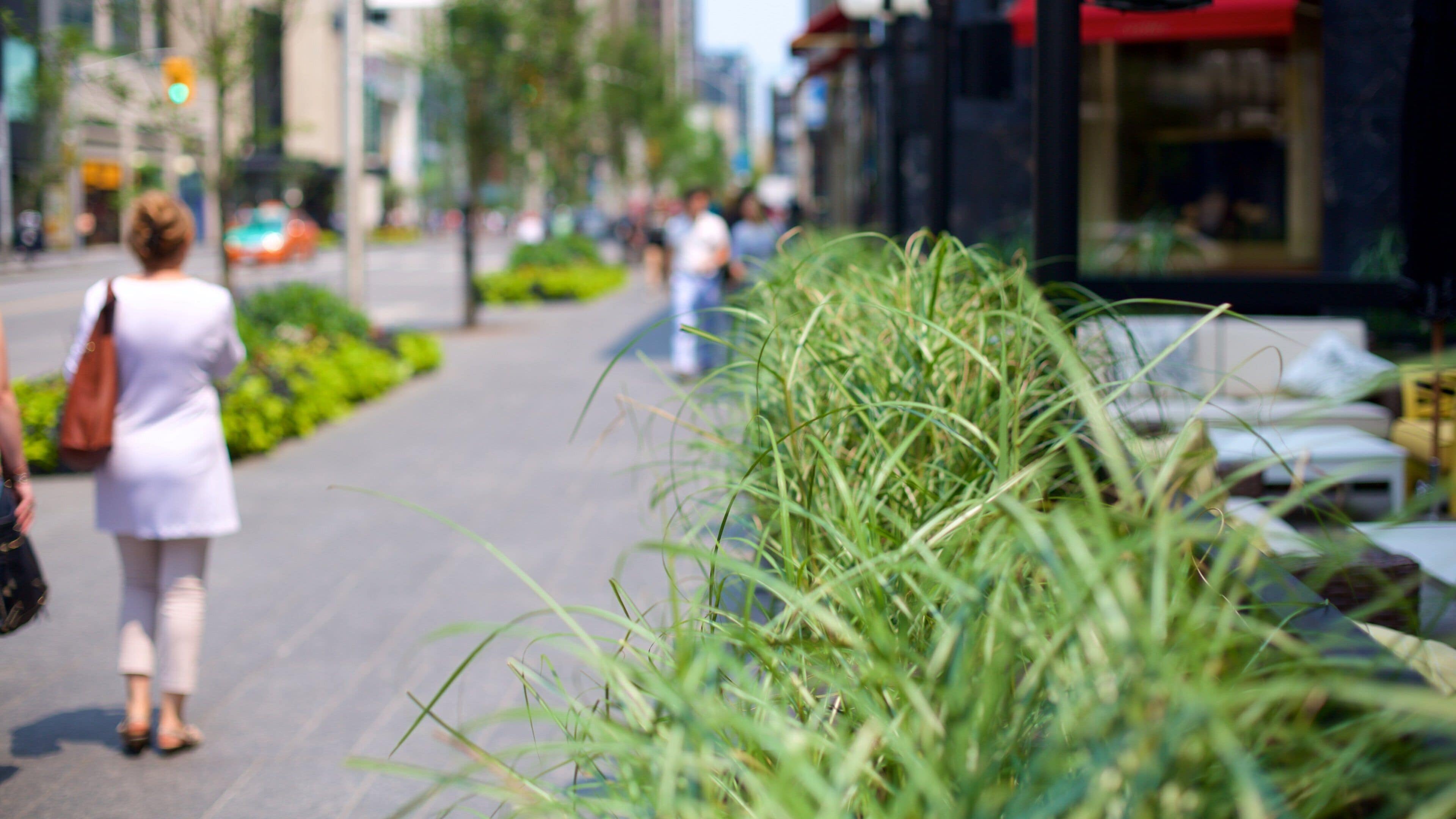 Yorkville showing a city and street scenes as well as a small group of people