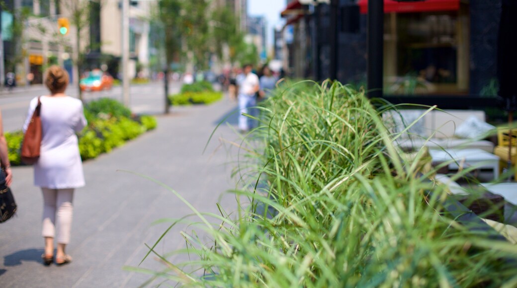 Yorkville showing a city and street scenes as well as a small group of people