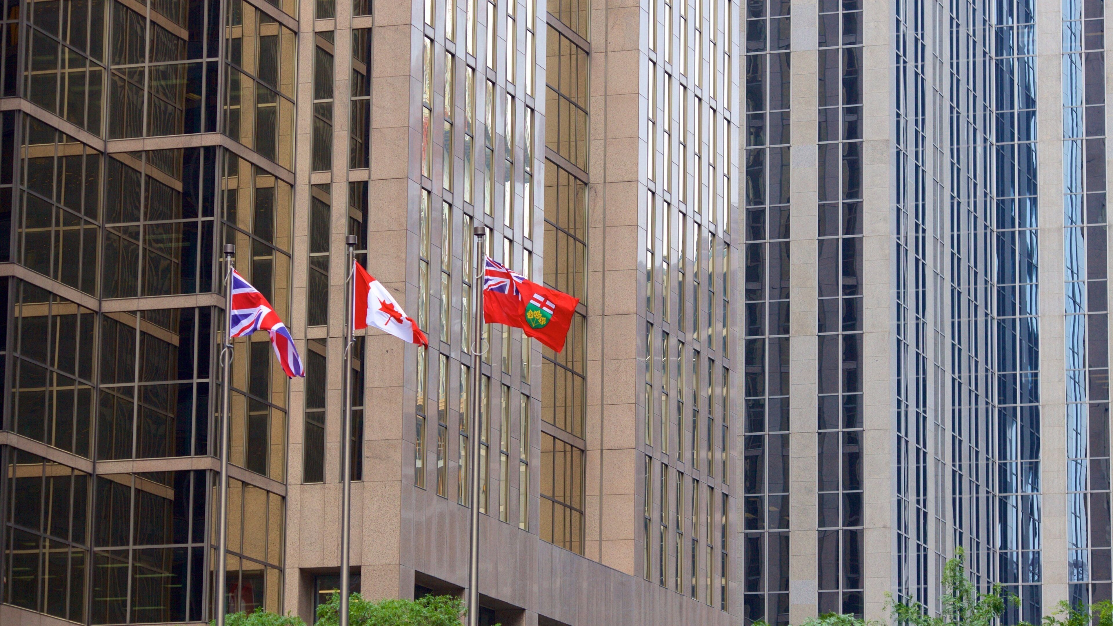 Financial District showing a city