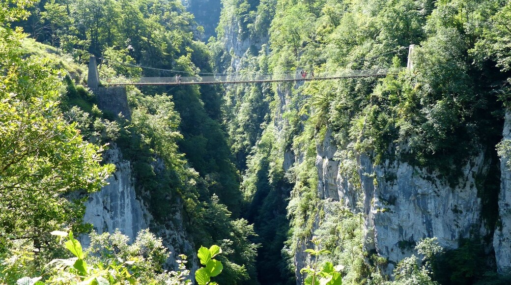 Passerelle d'holzarté