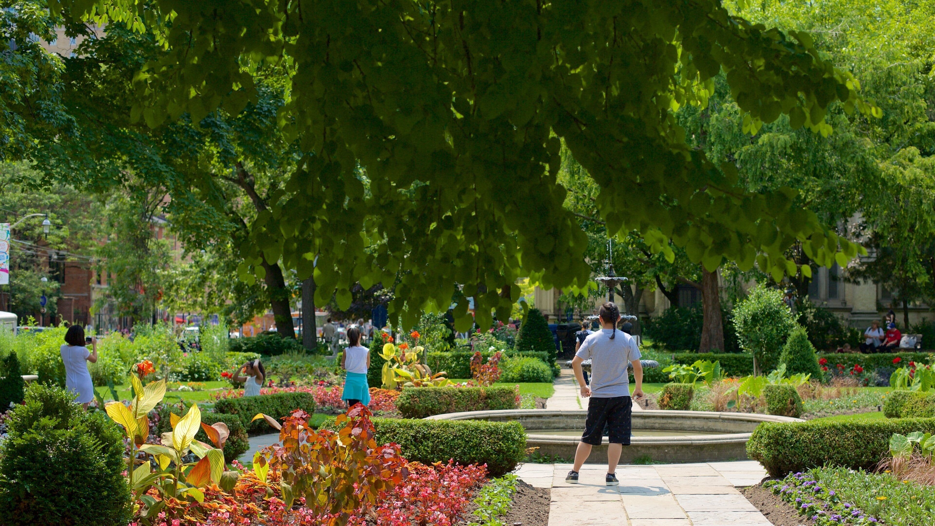 Old Town which includes a fountain and a park as well as a small group of people