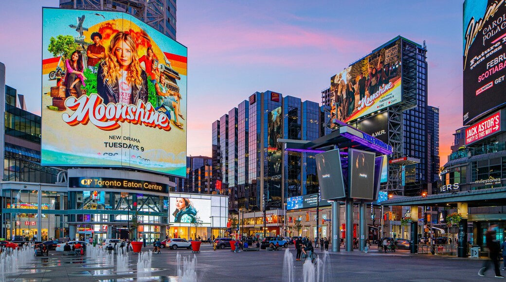 Yonge-Dundas Square featuring night scenes, a city and a square or plaza