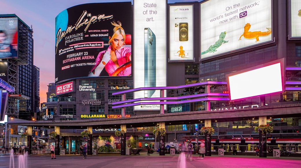 Yonge-Dundas Square which includes night scenes, central business district and a city