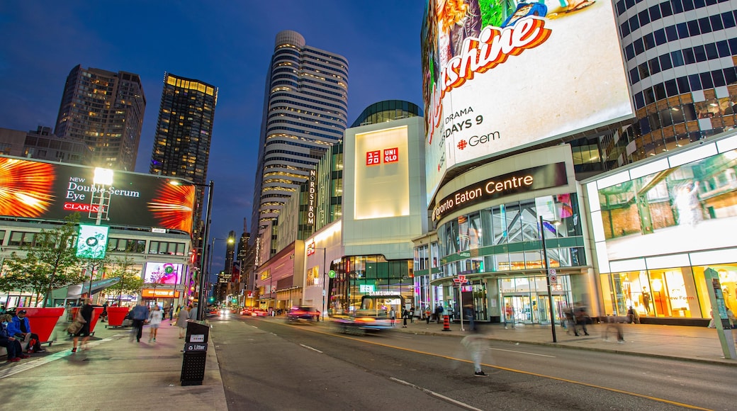 Yonge-Dundas Square which includes night scenes, signage and a city