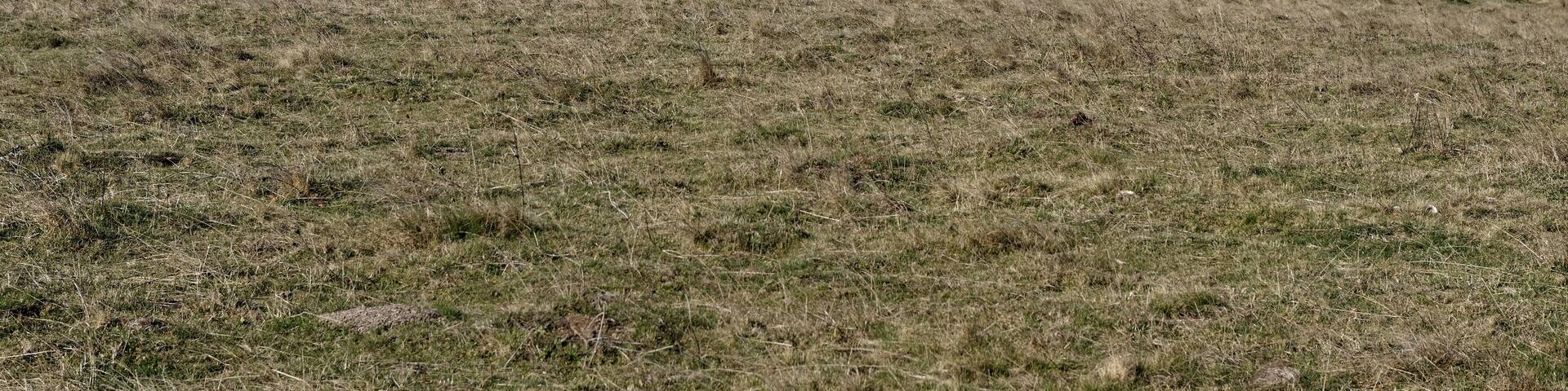 Les monts du CĂ©zallier depuis le lieu-dit Graffaudeix Ă Ăgliseneuve-d'Entraigues, dans le Puy-de-DĂŽme.