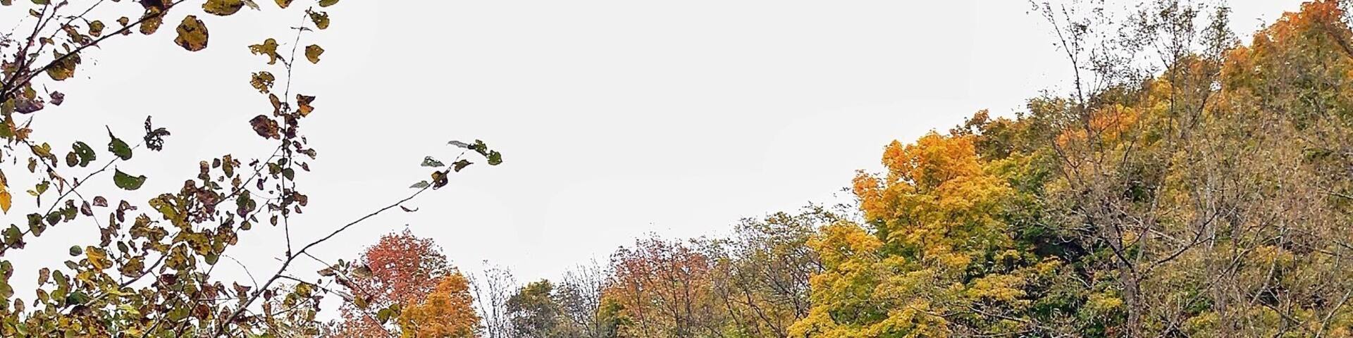 Spent the day taking photos of the area before I move. I love it when the fall colours come out to play. I'm really going to miss it.