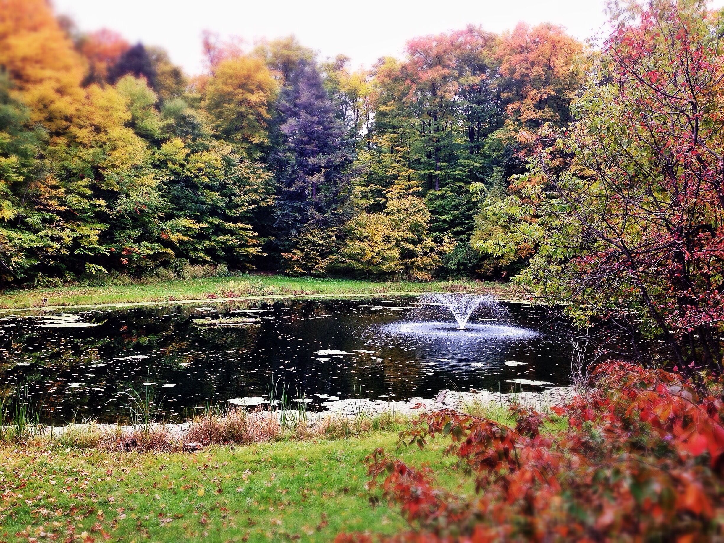 Spent the day taking photos of the area before I move. I love it when the fall colours come out to play. I'm really going to miss it.

