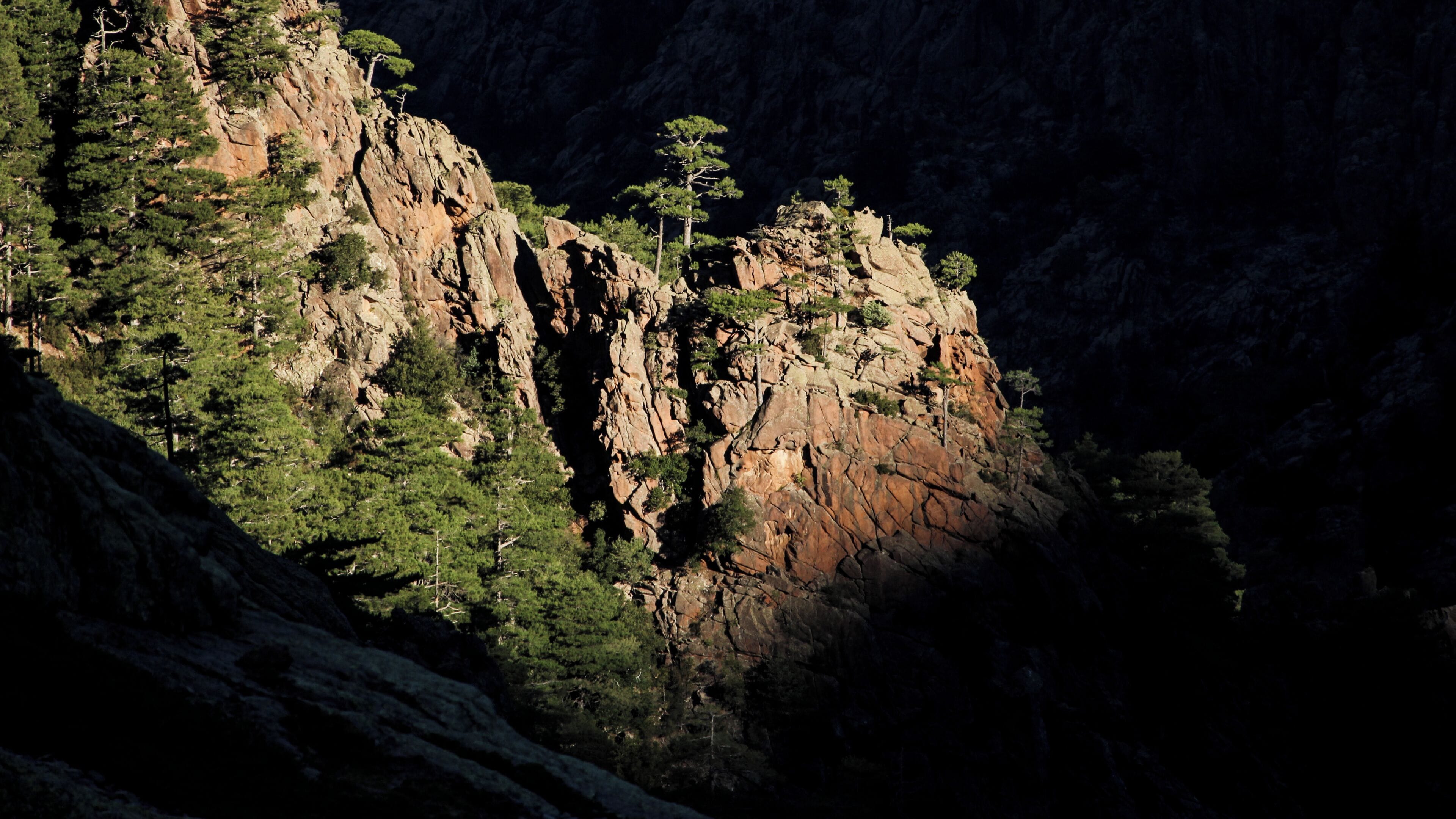 Parc naturel régional de Corse