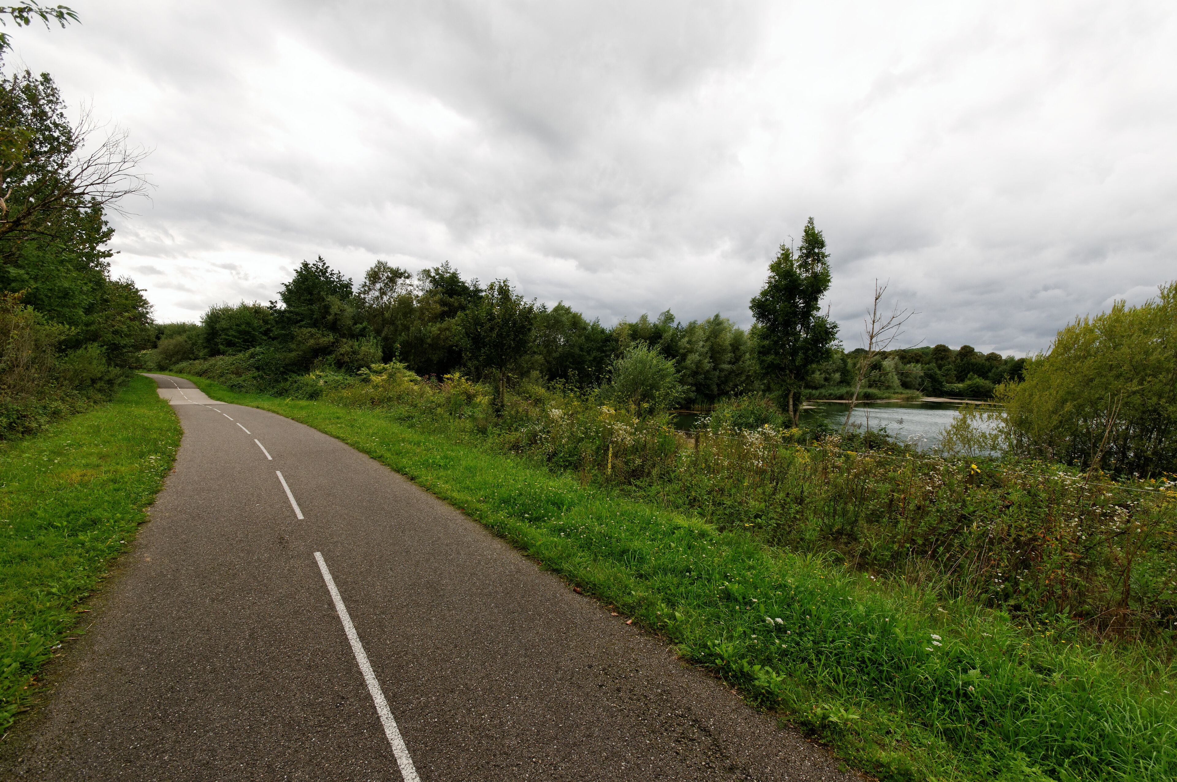 A winding road bordered by lush greenery and a body of water.