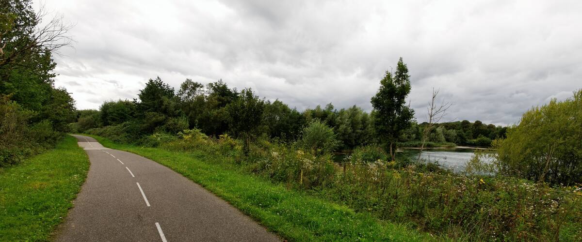 A winding road bordered by lush greenery and a body of water.