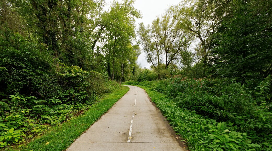 This file was uploaded with Commonist. La liaison cyclable FrancoVéloSuisse à Andelnans.