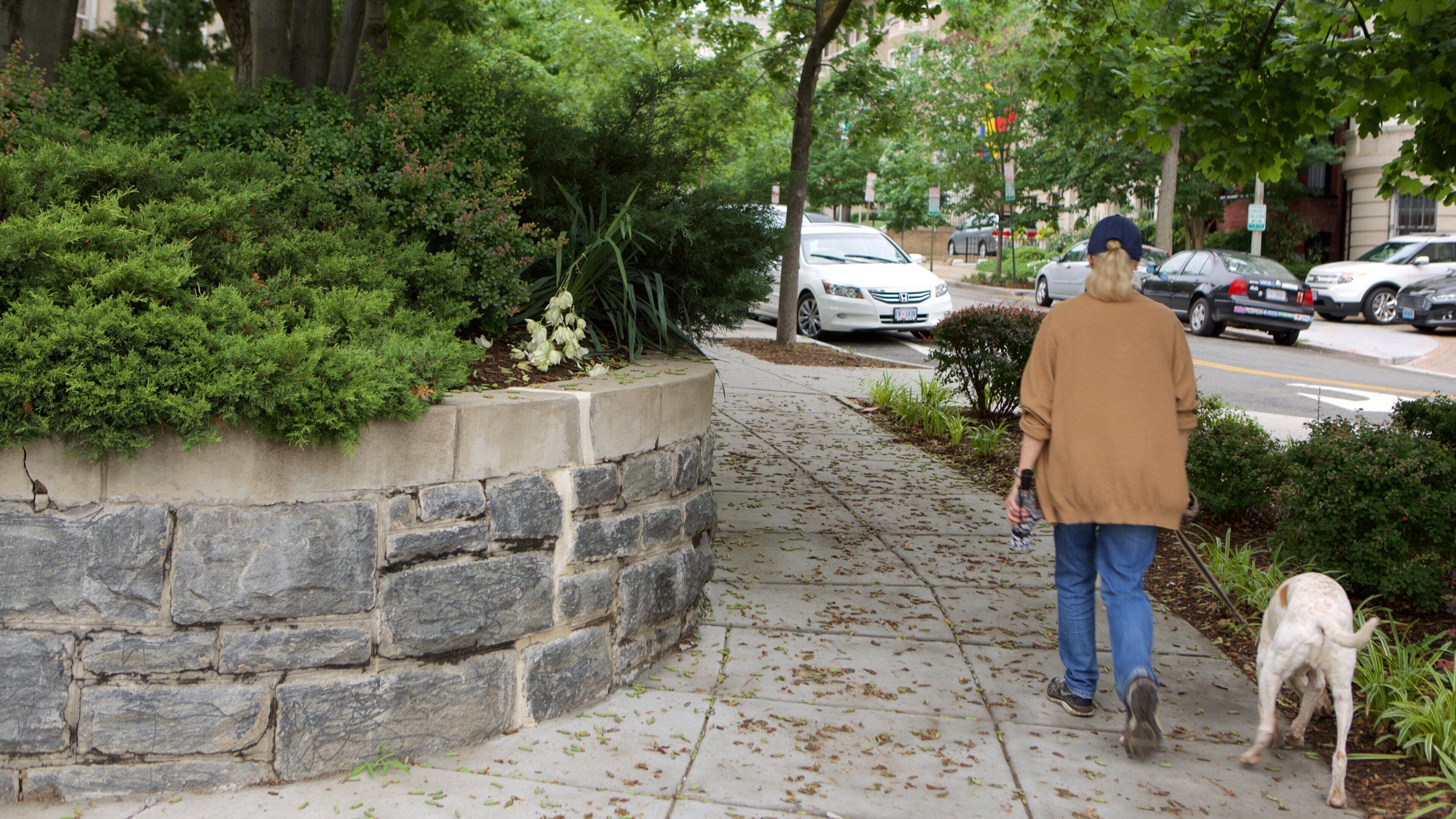 Embassy Row som viser hage i tillegg til en kvinne