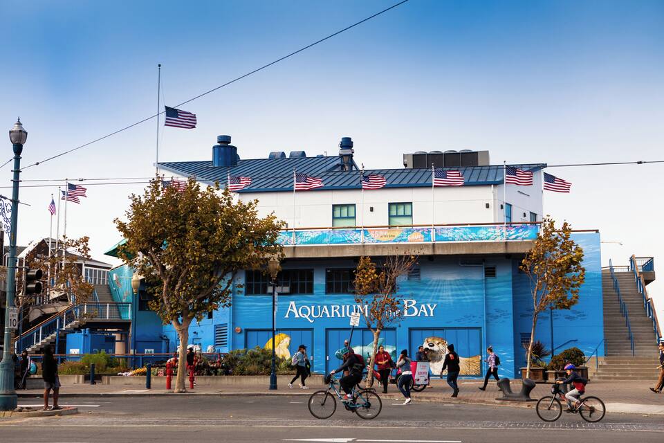 A building with the sign "Aquarium Bay" and multiple American flags.
