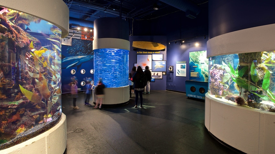 Aquarium of the Bay