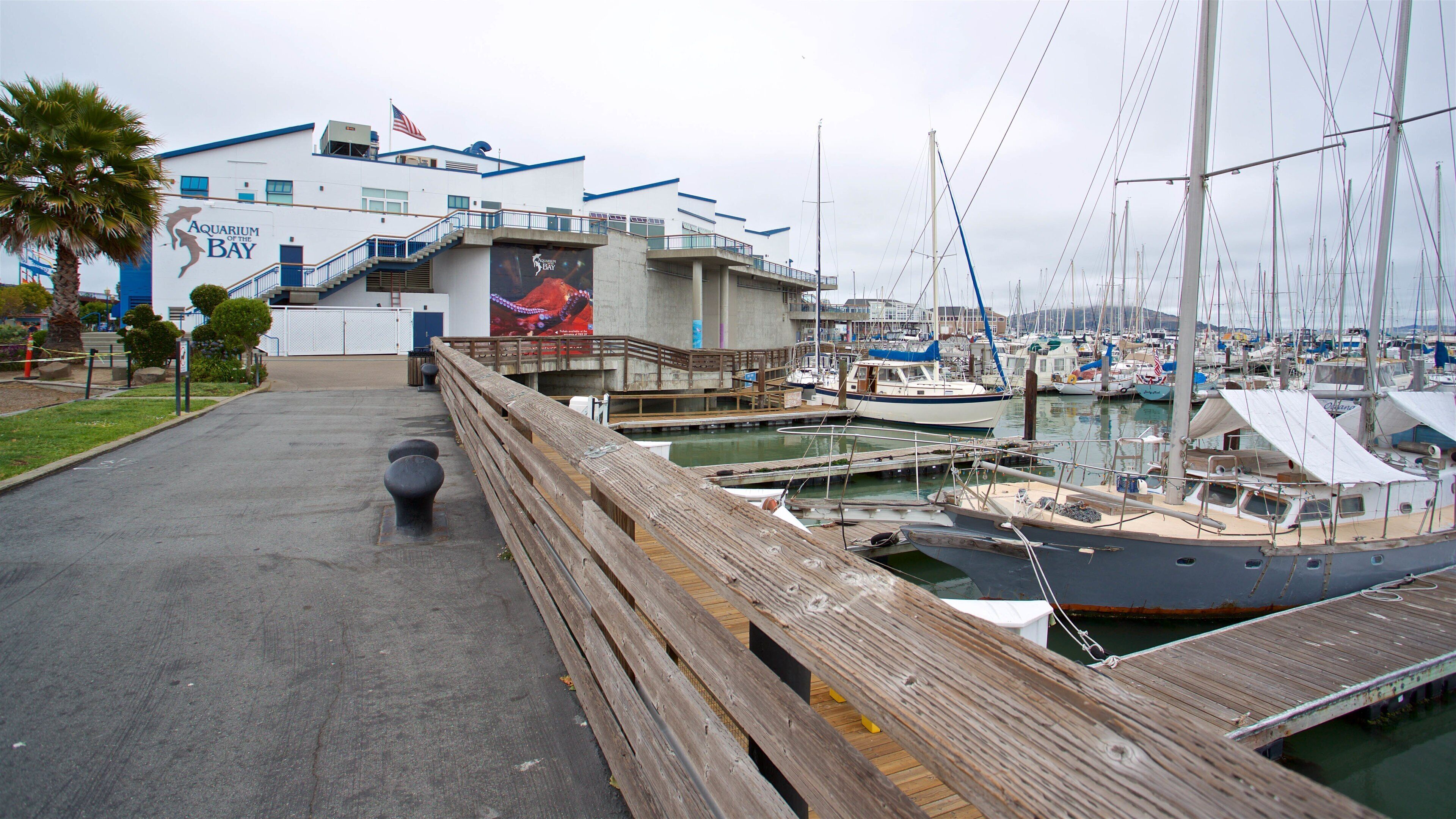 Aquarium of the Bay