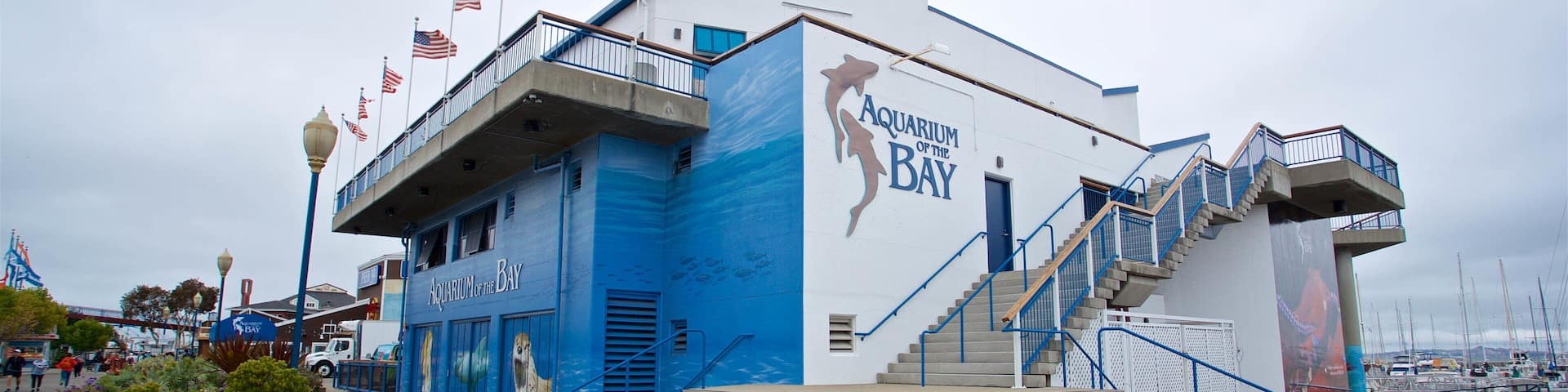 Aquarium of the Bay