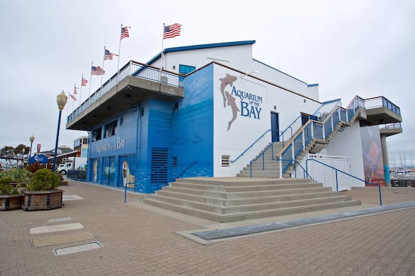 Aquarium of the Bay