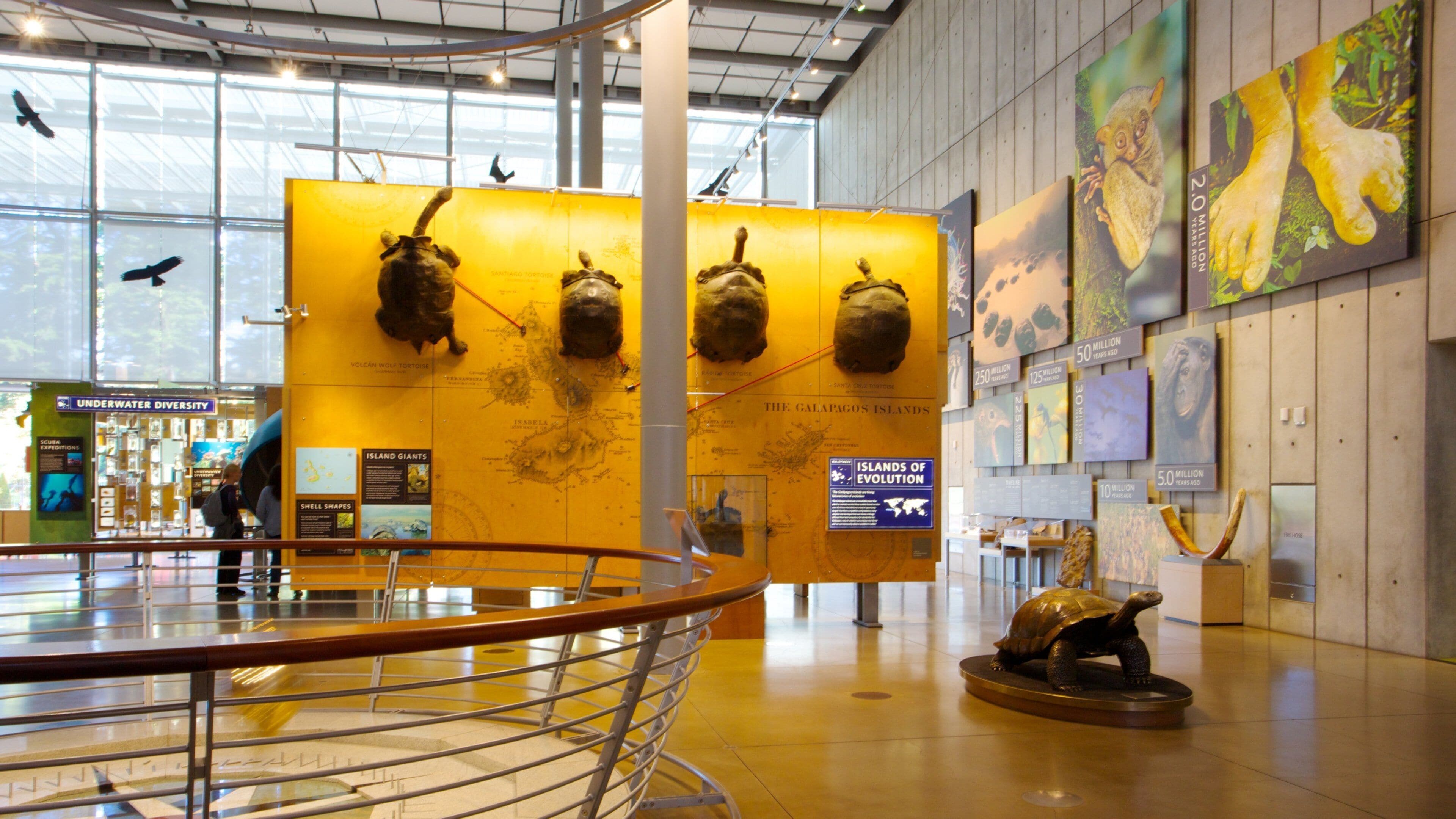 California Academy of Sciences johon kuuluu kyltit ja sisäkuvat