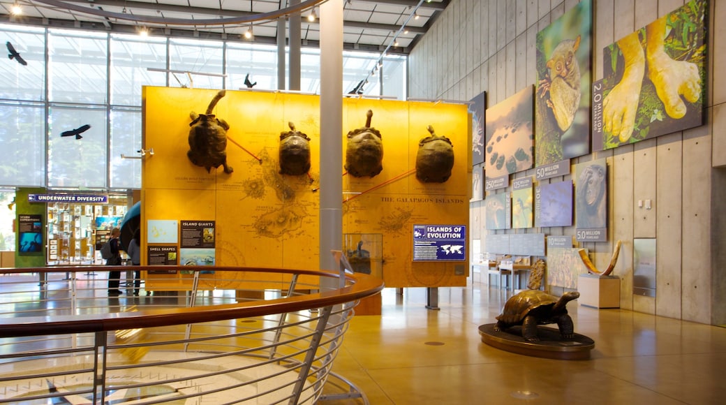 California Academy of Sciences johon kuuluu kyltit ja sisäkuvat