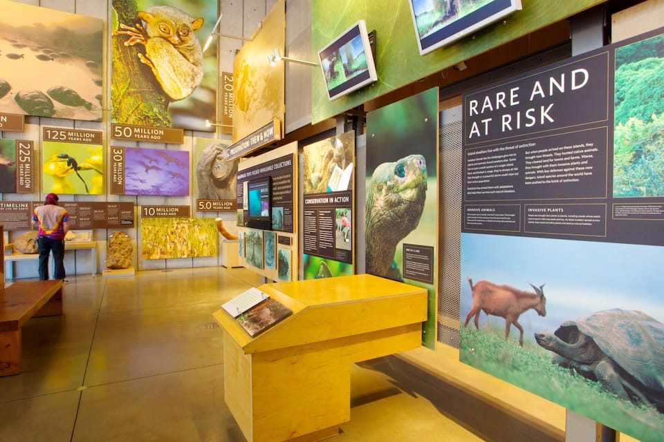 A museum exhibit with educational displays about endangered species and conservation efforts.