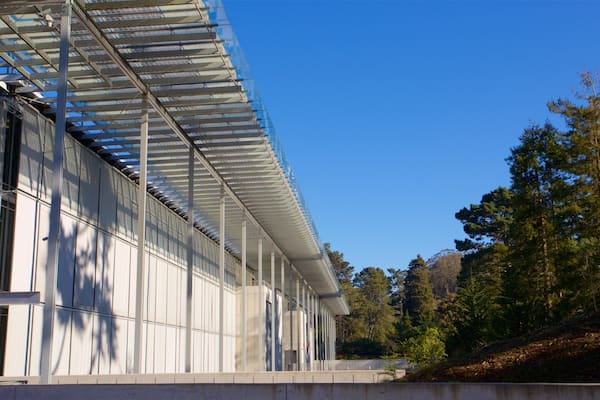 Ein modernes Gebäude mit Glasfassade und Metallgerüst.