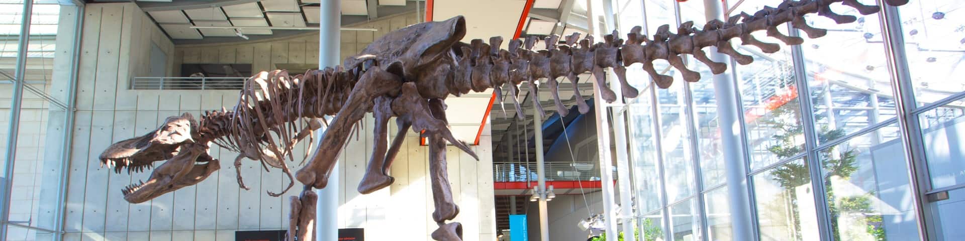 Academia de las Ciencias de California que incluye paseos y vistas interiores