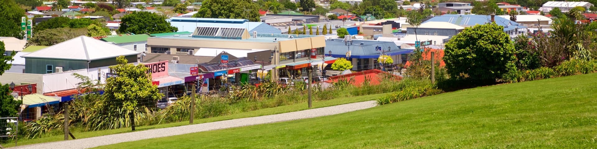 Waihi featuring landscape views, tranquil scenes and a small town or village