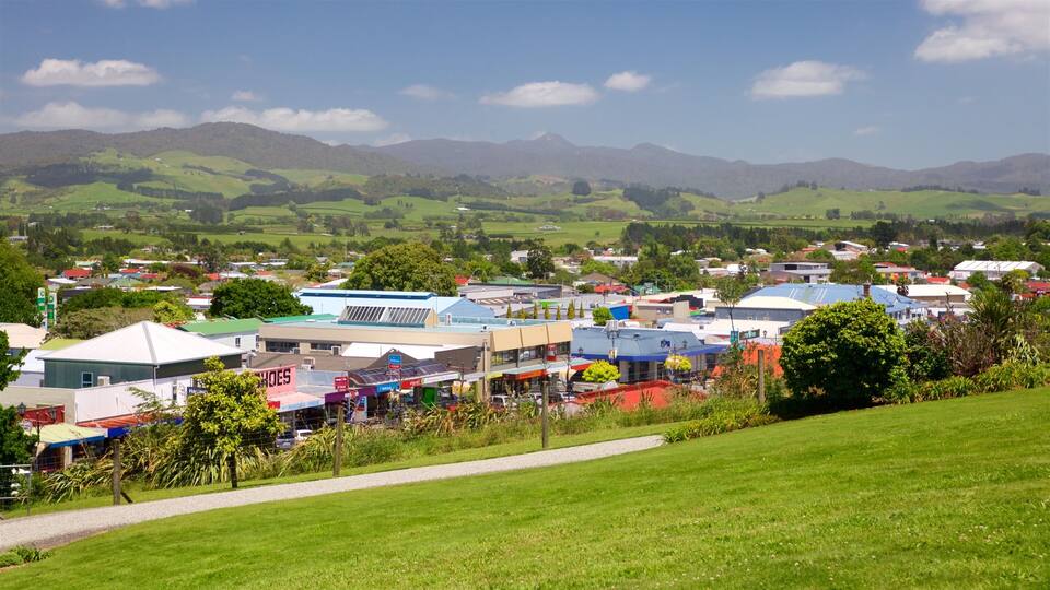 A town with buildings, a road, and green fields.