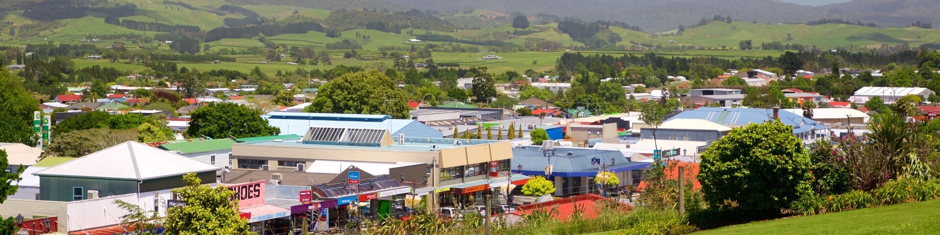 A town with buildings, a road, and green fields.