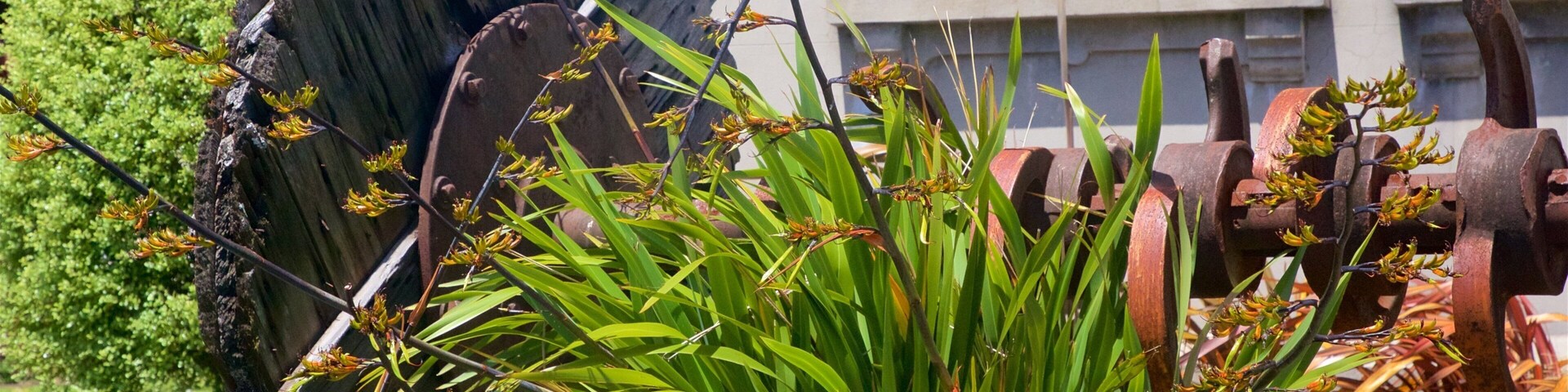 Waihi mostrando elementos de patrimônio