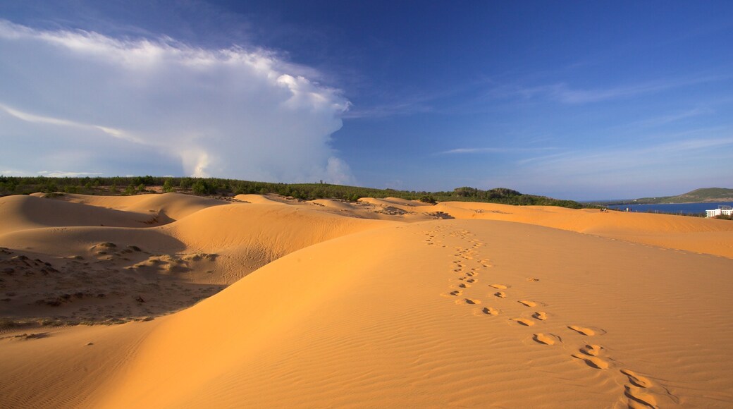 Dunas de arena de Mui Ne ofreciendo vistas panorámicas y paisajes desérticos