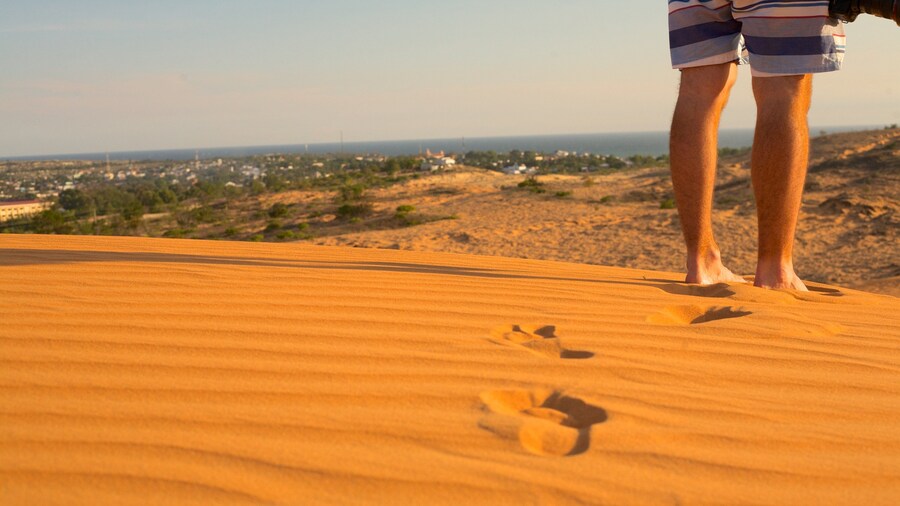 Mui Ne Sand Dunes showing desert views as well as an individual male