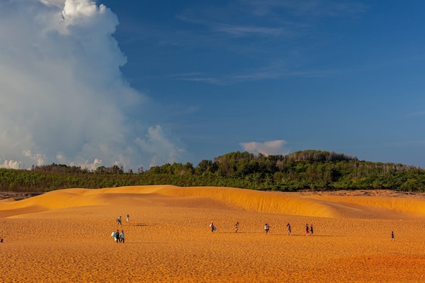 Mui Ne Sand Dunes which includes desert views and a beach as well as a small group of people