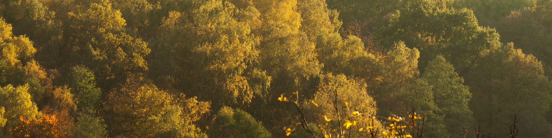 Poland, Malopolska, Rudawa River Valley seen from Skaly Kmity Height
