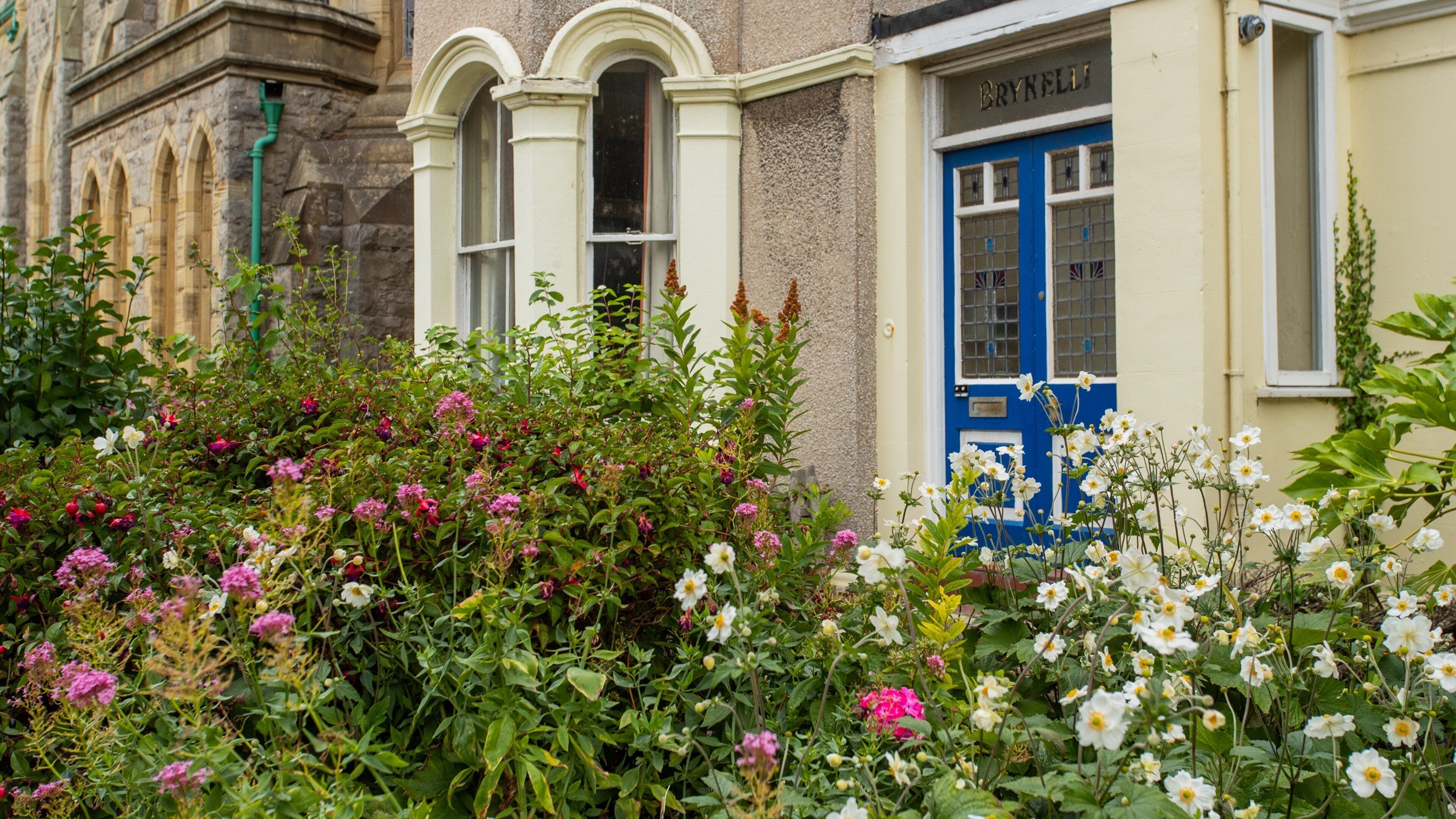 Llandudno Museum featuring wildflowers and a park
