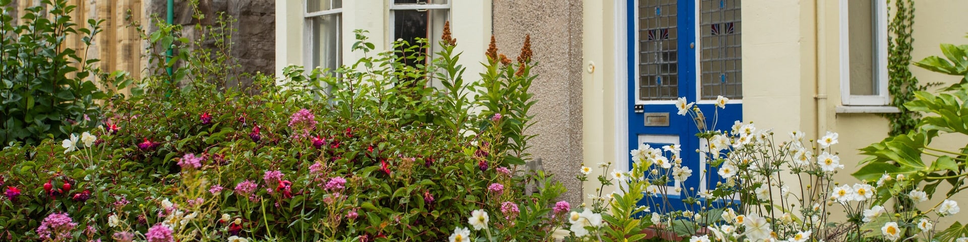 Llandudno Museum featuring wildflowers and a park